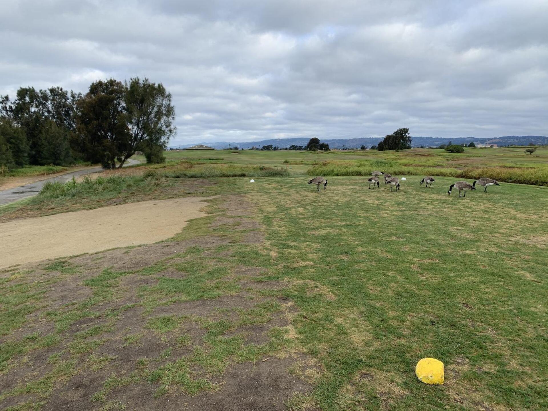 (Photo submitted by u000005864773 on 11/12/2020)