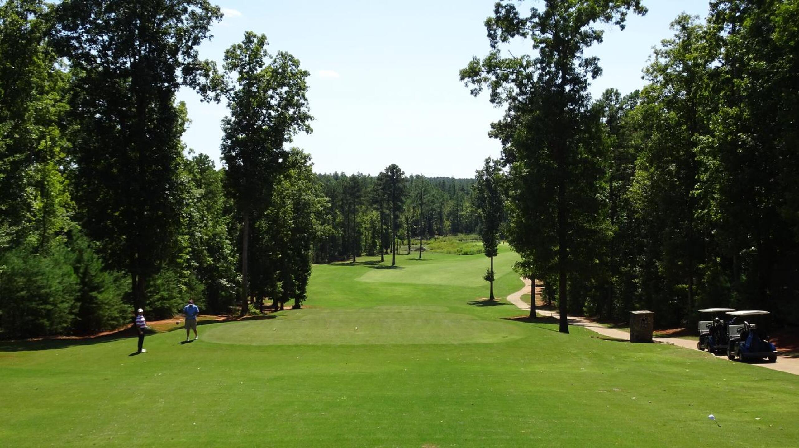 The elevated tees give the course a great sense of character. (Photo submitted by Back9Ben on 09/09/2017)