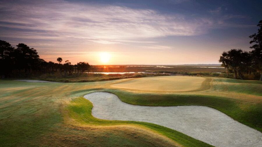Palmetto at Landings Club