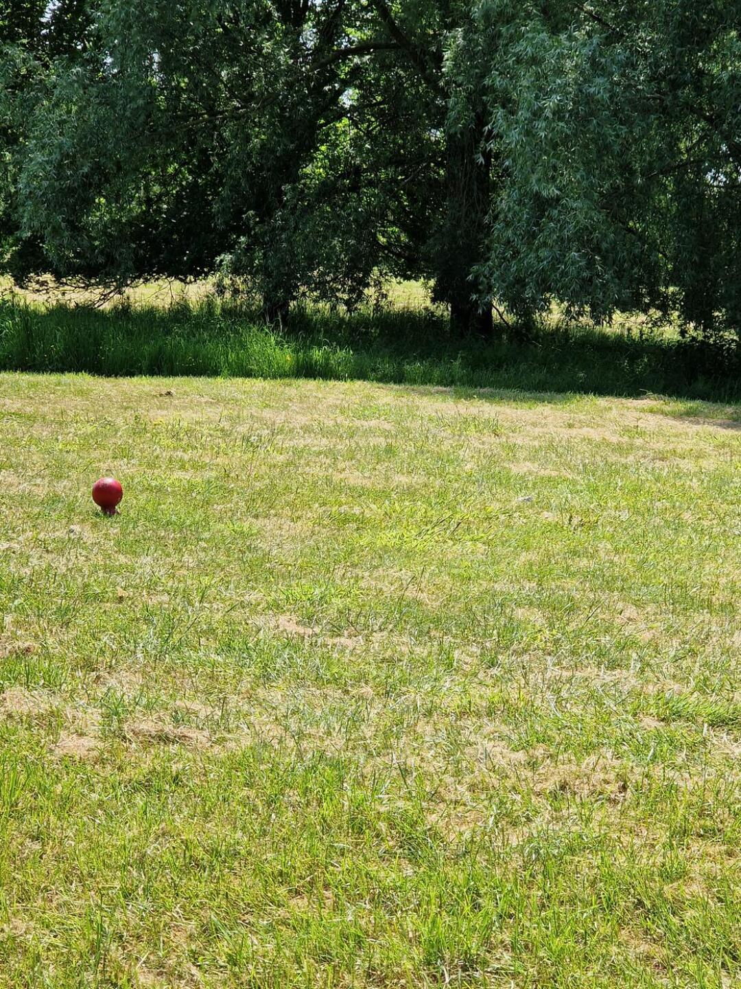 (Photo submitted by u314161985473 on 06/04/2023)