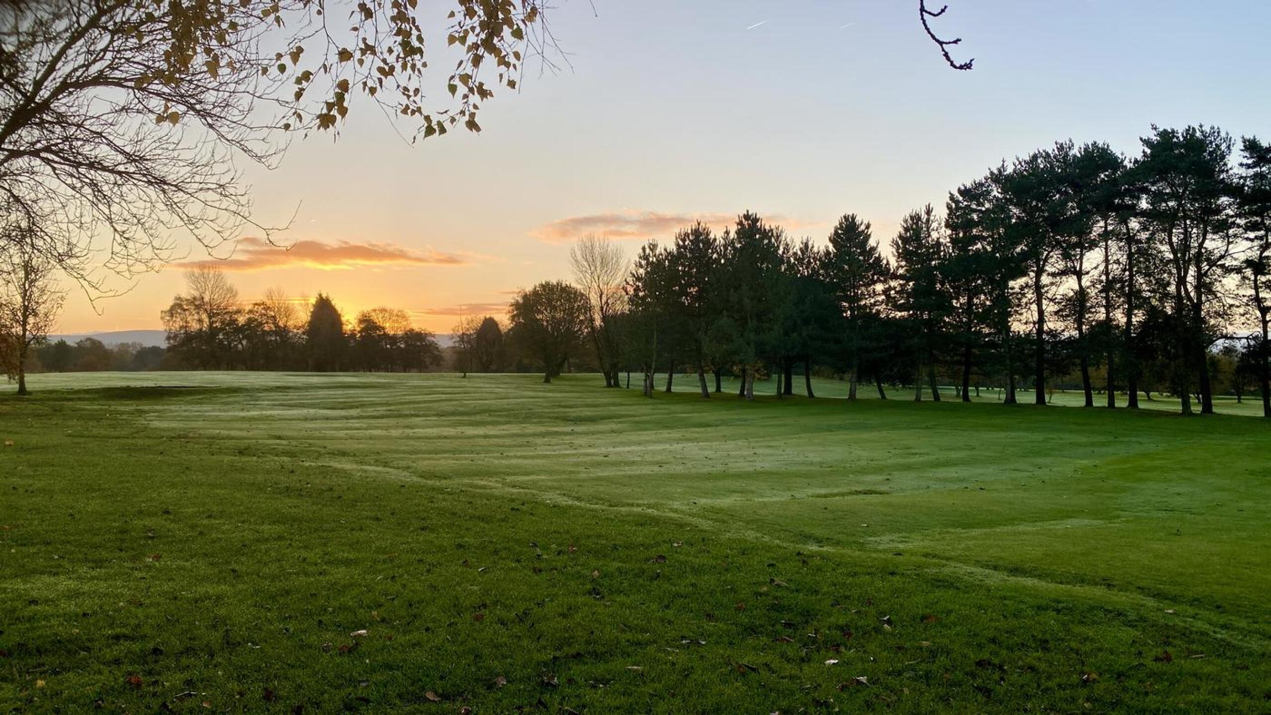 (Photo submitted by garryshewan on 11/07/2025)