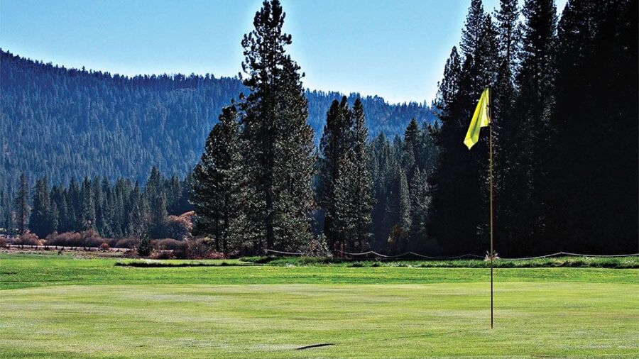 Big Trees GC