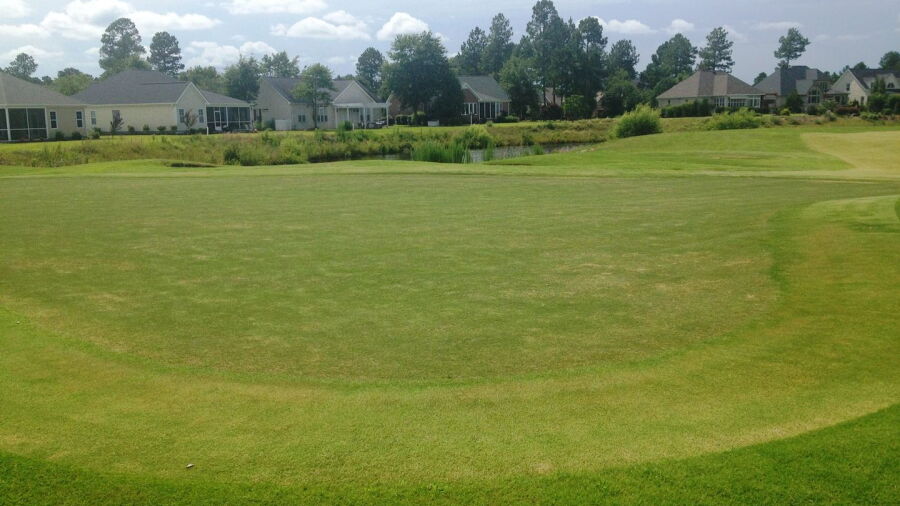 Magnolia Greens GC