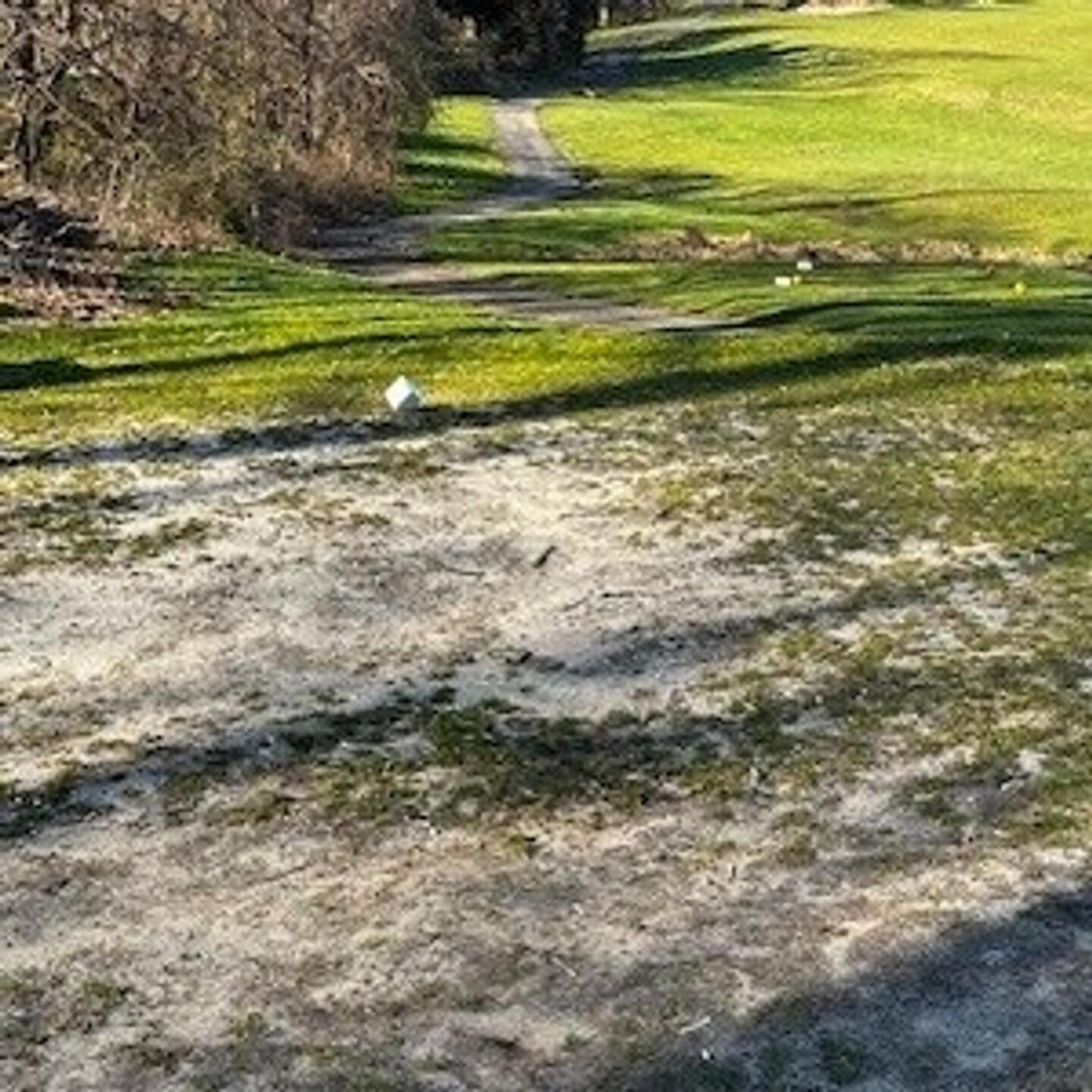 12 tee (Photo submitted by nj0999 on 03/29/2024)