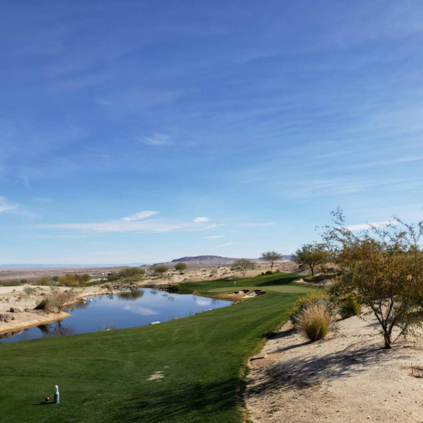 (Photo submitted by carybordieri on 01/16/2021)