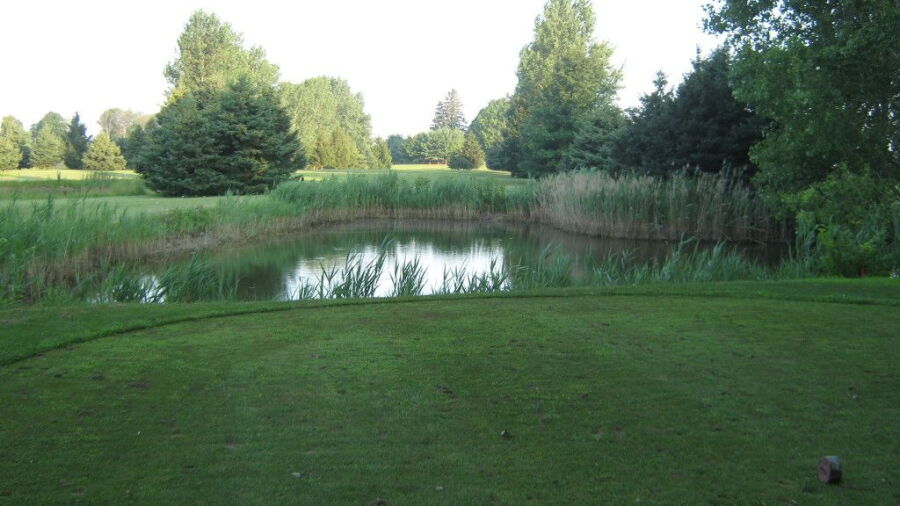 Dutton Meadows GC: #9