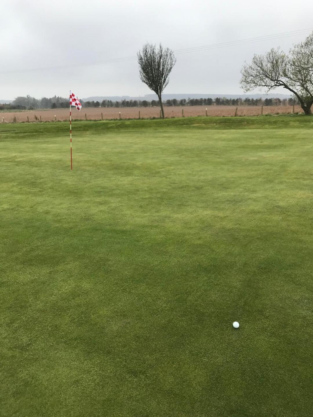 (Photo submitted by Bobby2406 on 04/17/2019)