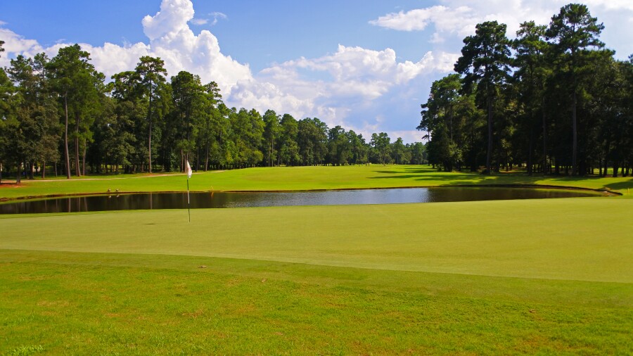 Augusta Pines golf course - no. 6