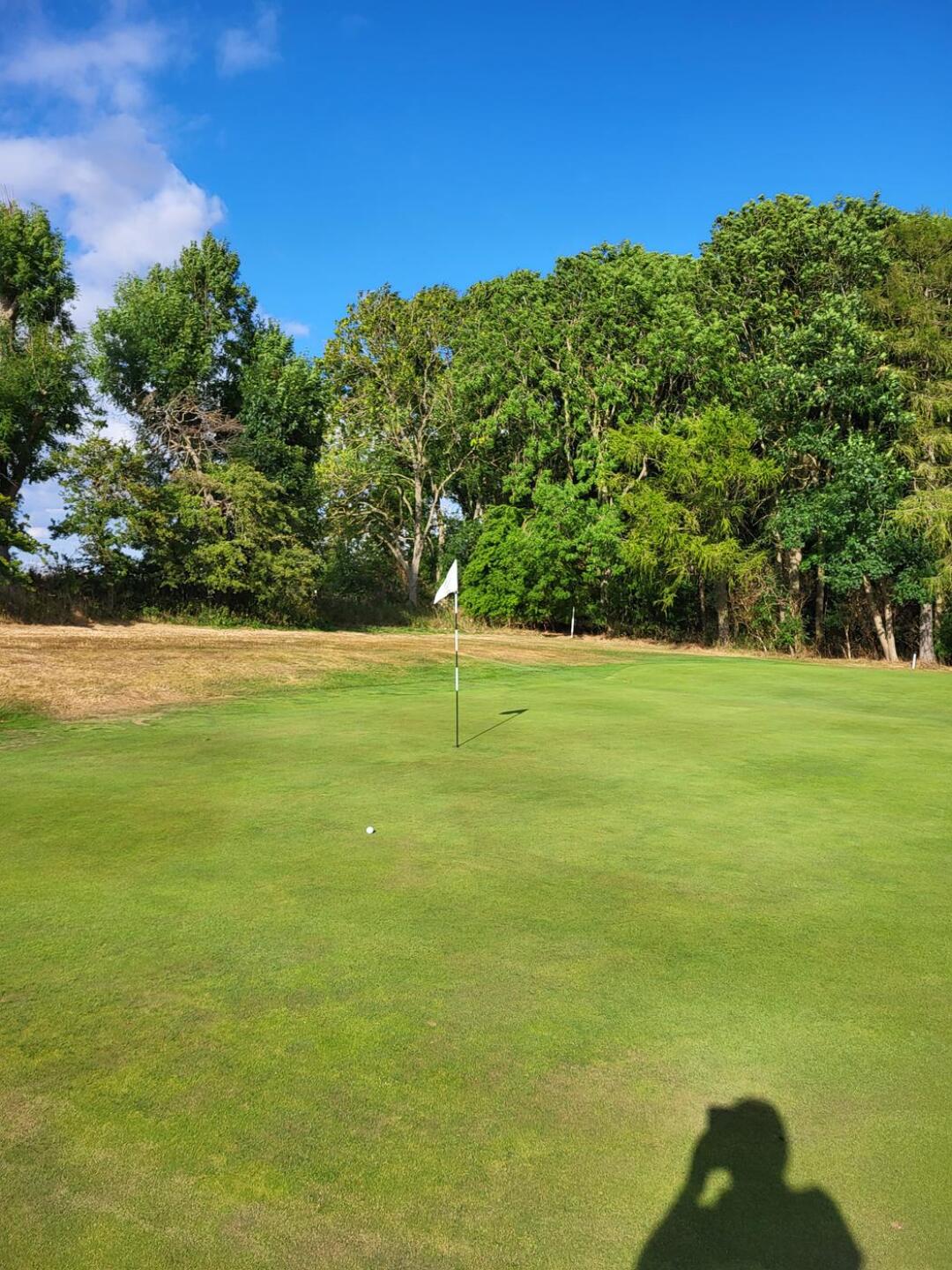 (Photo submitted by t363903352 on 07/26/2022)