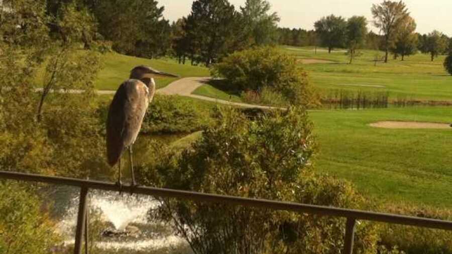 Spring Lakes GC