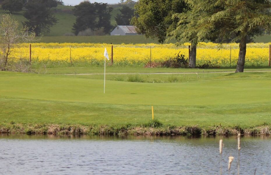 Rooster Run Golf Club in Petaluma, California, USA GolfPass