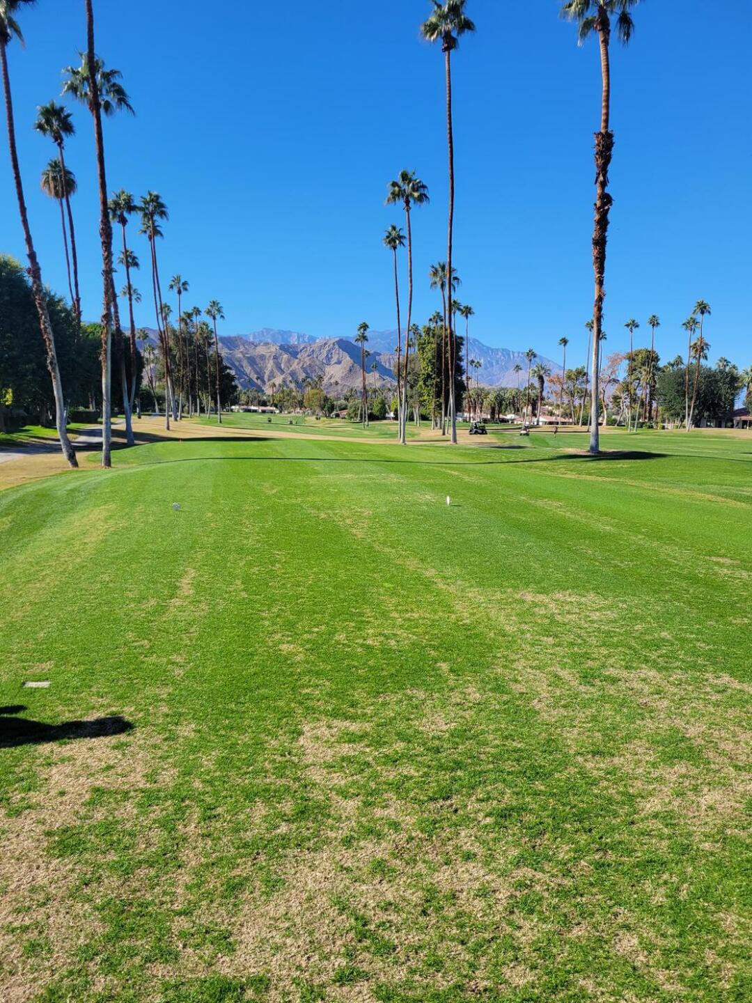 (Photo submitted by CliffTrombley on 12/08/2022)