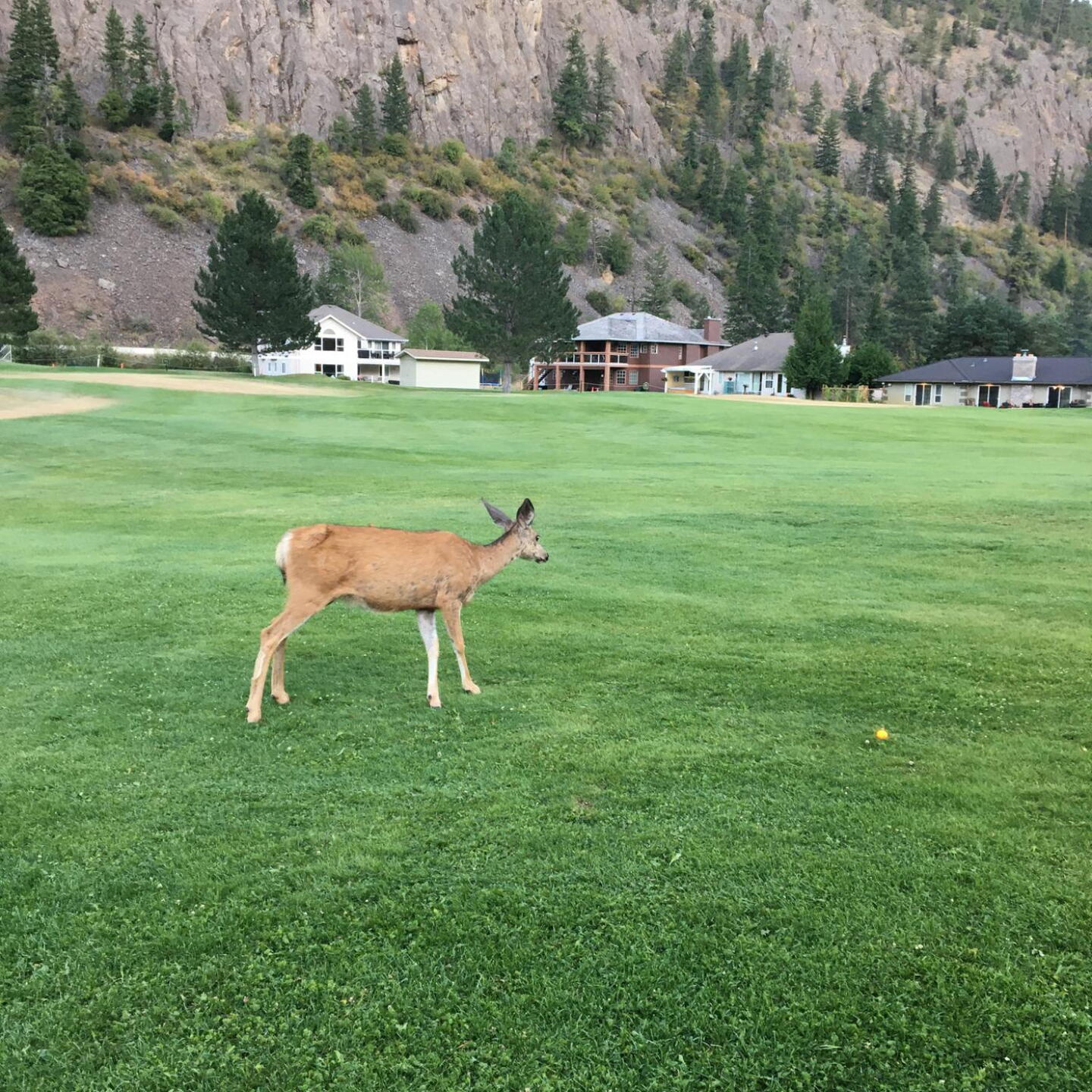 Beautiful nature (Photo submitted by u206358514 on 10/03/2020)