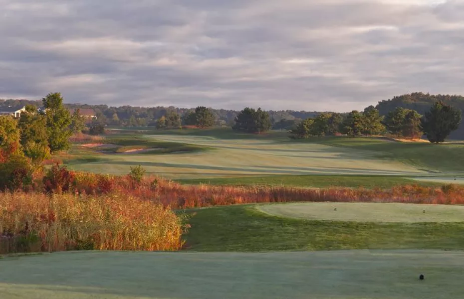 Grizzly at Bear Trap Dunes: #6