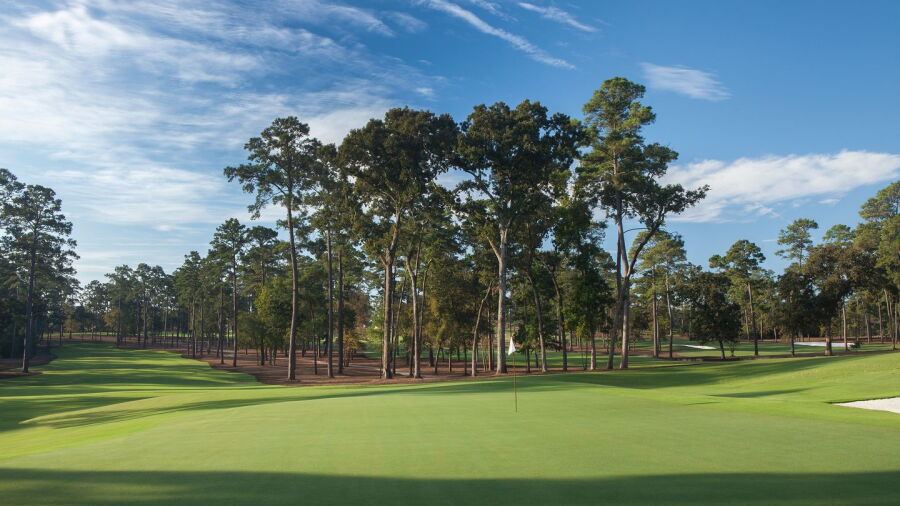 Bluejack National: #8
