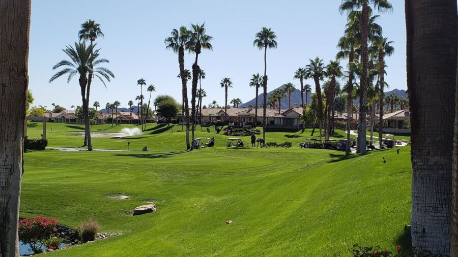 Oasis CC