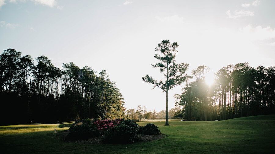Brandywine Bay GC