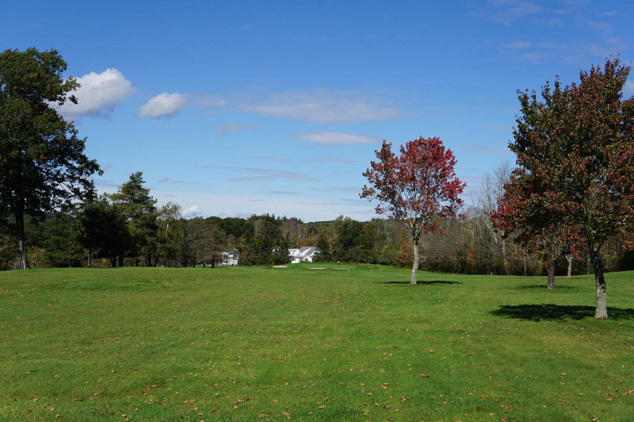 A 393-yard par-four, the second hole descends slightly from tee to green. (Photo submitted by AptlyLinked on 10/10/2023)