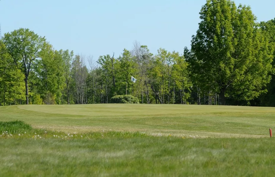 Gladwin Heights GC: #9