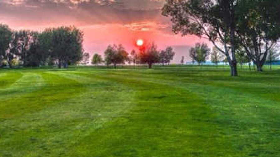 Signal Point GC