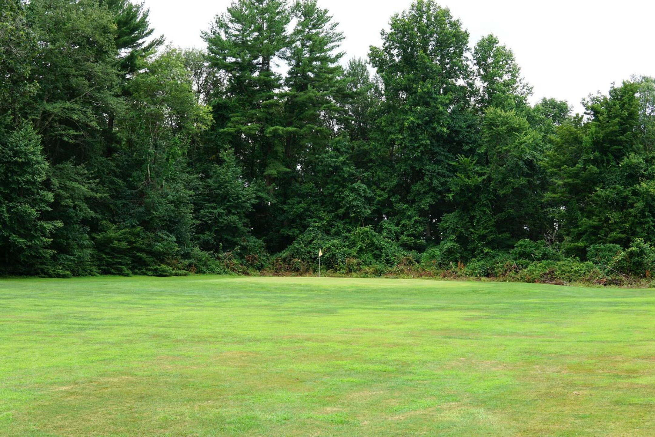 The uphill fifth plays much longer than the card-stated yardage (289). (Photo submitted by AptlyLinked on 08/02/2022)
