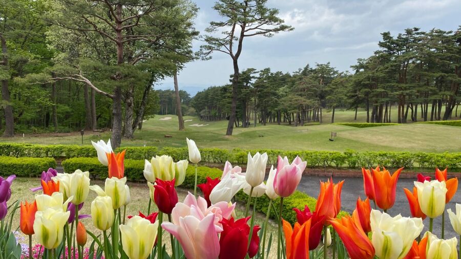 Daisen GC
