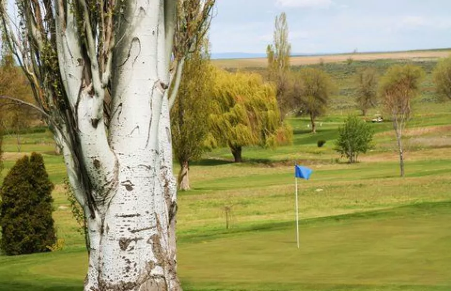 Sage Hills Golf Resort: #9