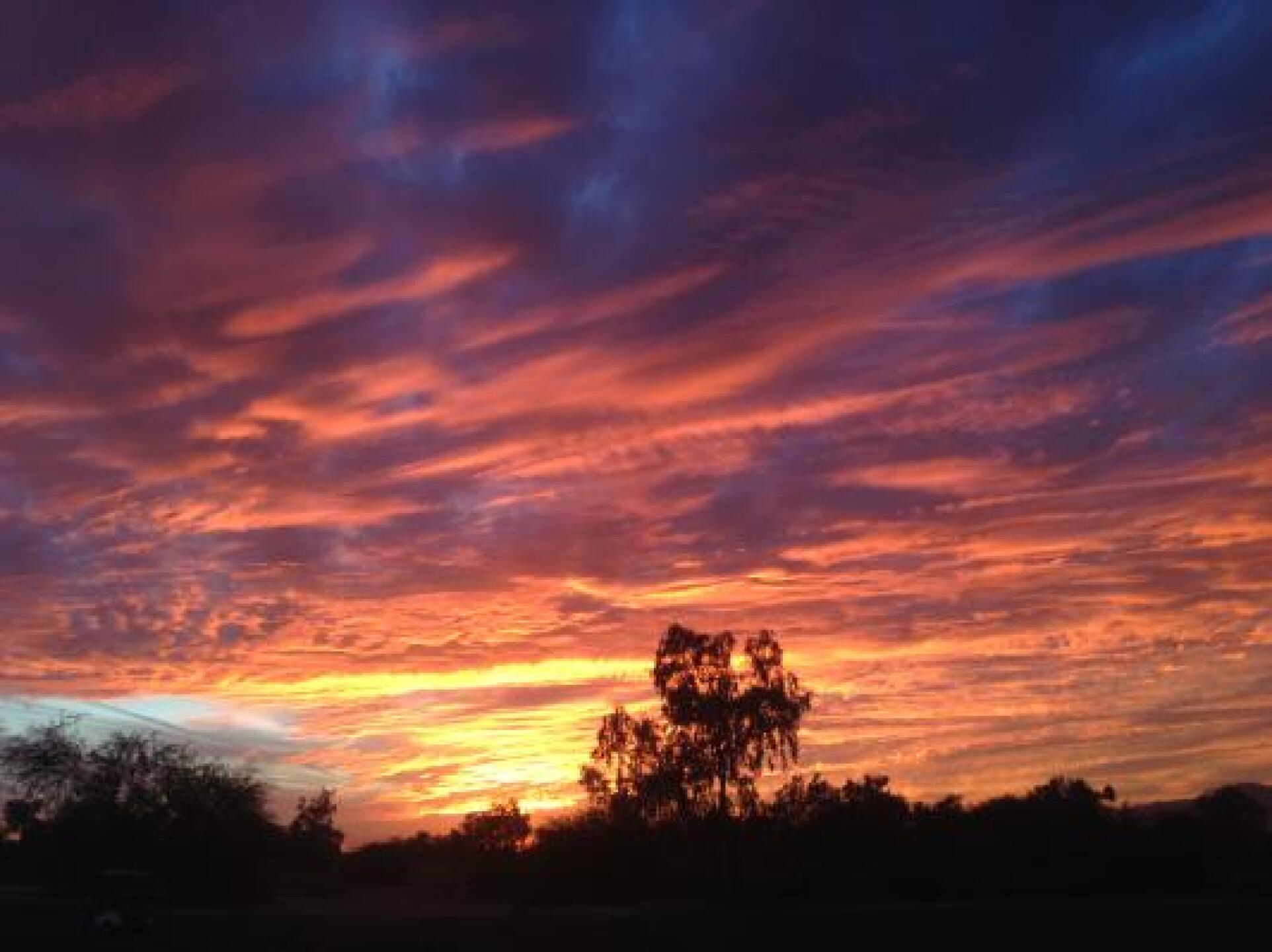 (Photo submitted by superbur on 01/21/2015)