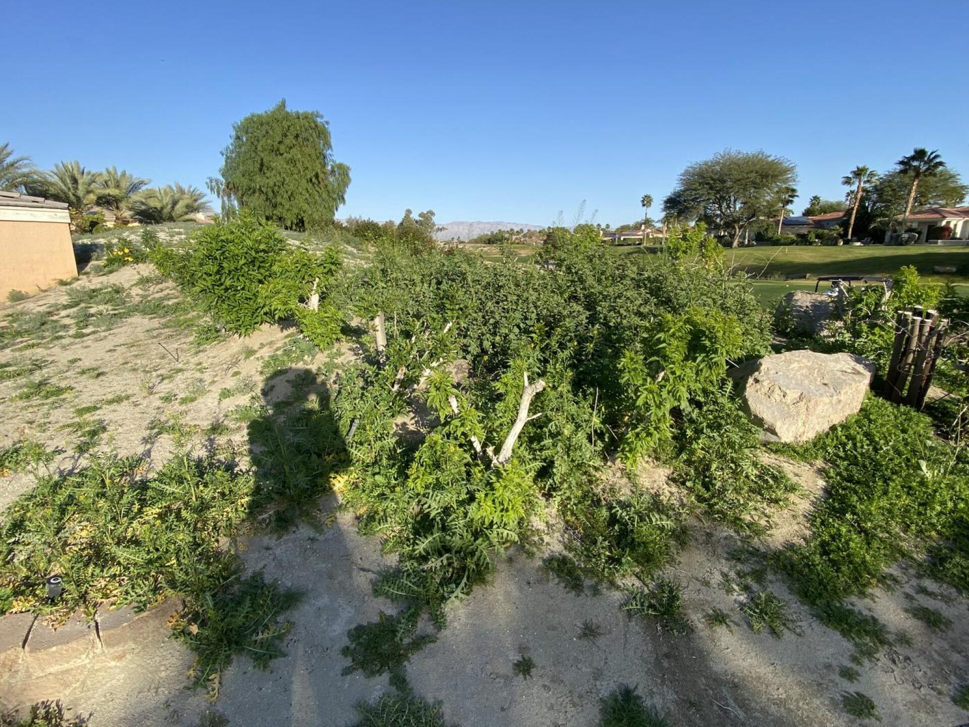 (Photo submitted by u000001789921 on 02/01/2026)