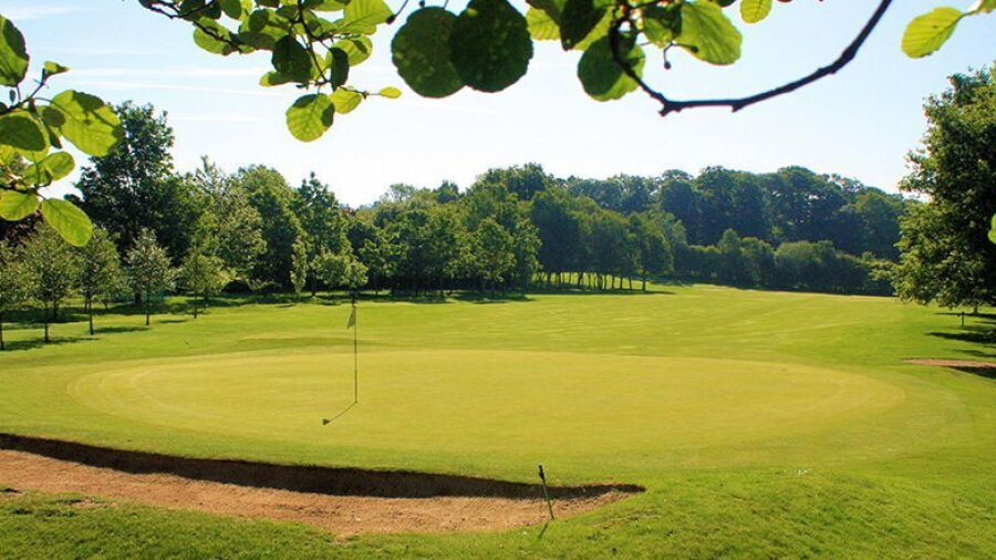 Lingdale GC: #9