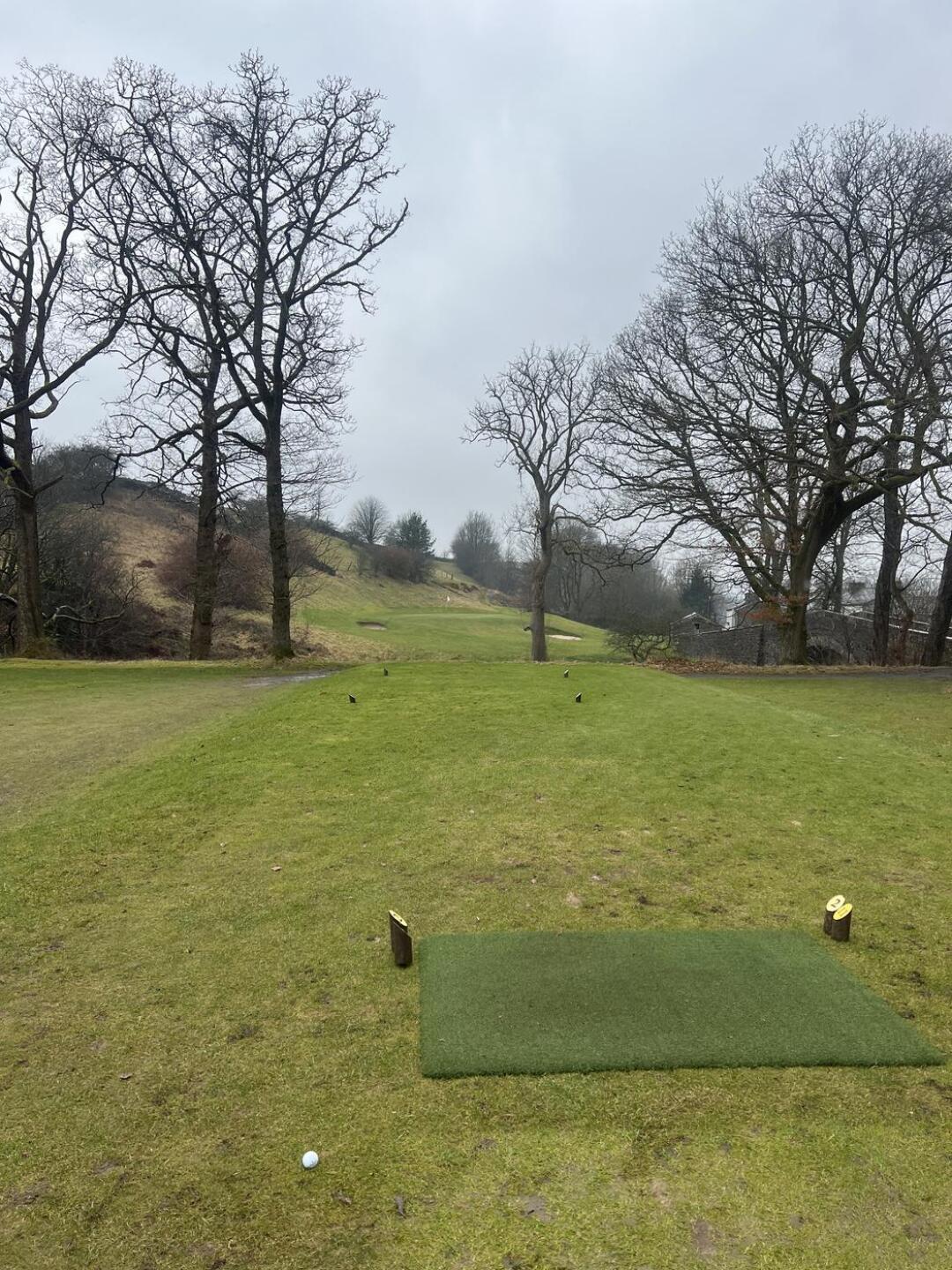 (Photo submitted by wfg1998 on 02/26/2025)