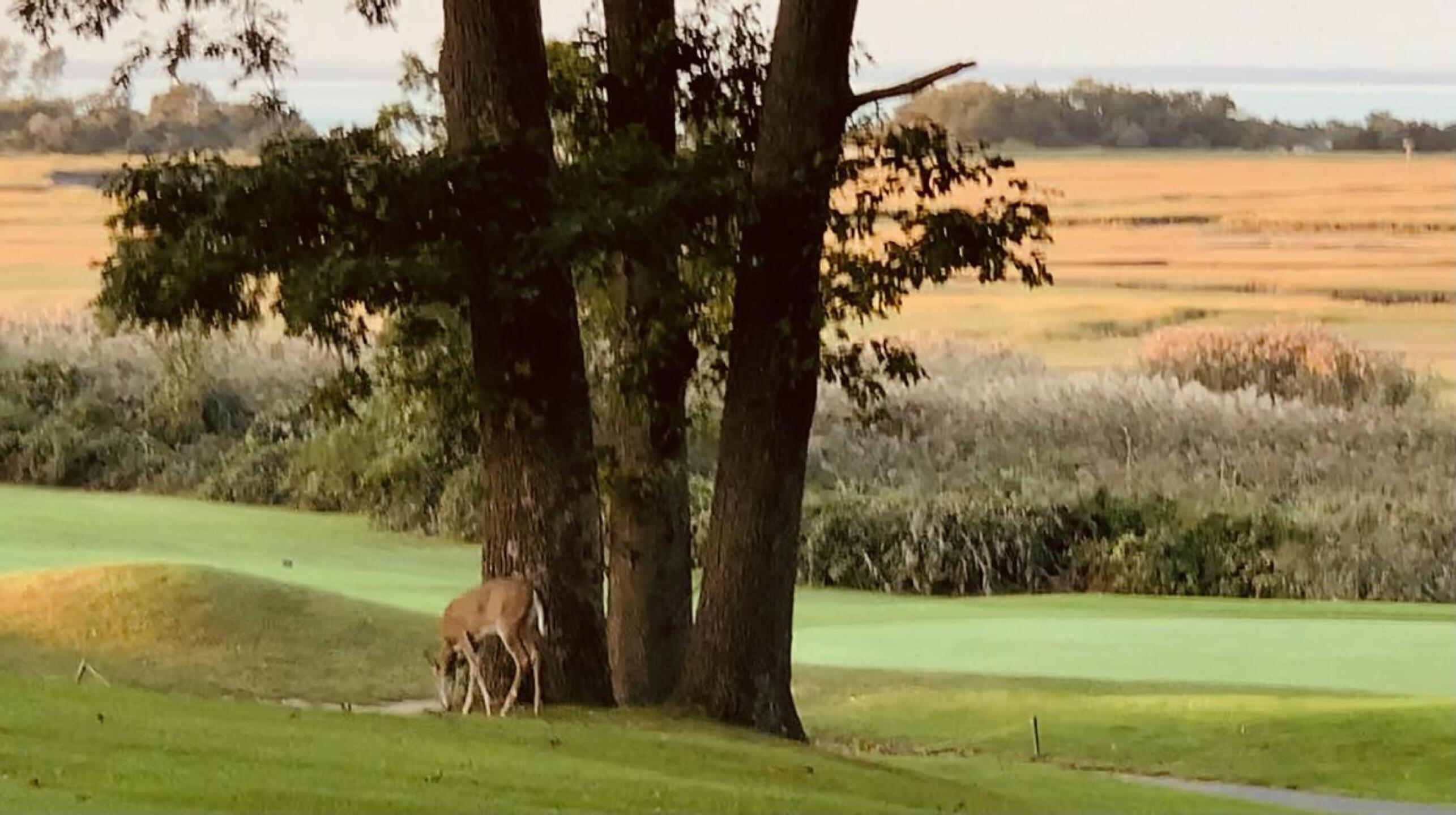 (Photo submitted by u1700085 on 09/18/2021)