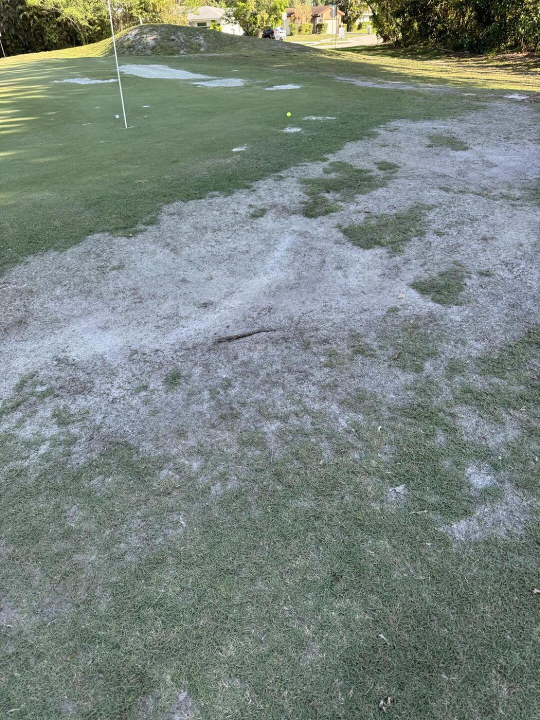 (Photo submitted by george3826 on 03/28/2026)