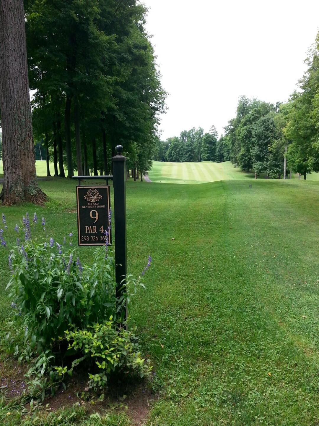 Hole 9 (Photo submitted by DavidLaDuke on 07/04/2015)