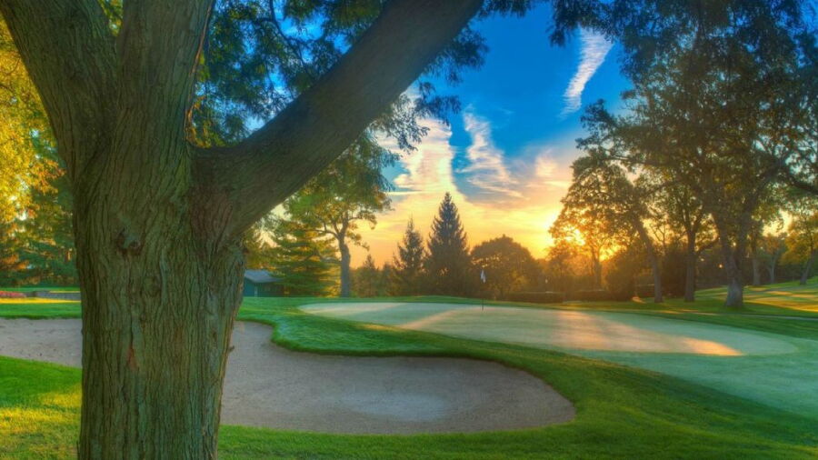 Elgin CC