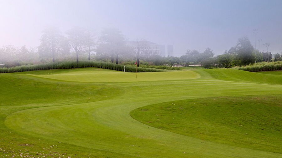 Twin Doves GC - Luna