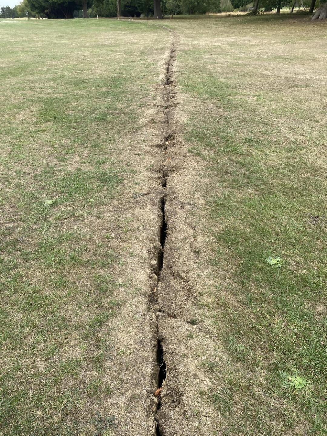 (Photo submitted by GOLBlacknight56 on 08/07/2025)