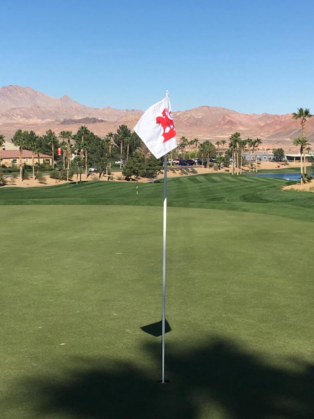 (Photo submitted by micastleberry on 10/29/2019)