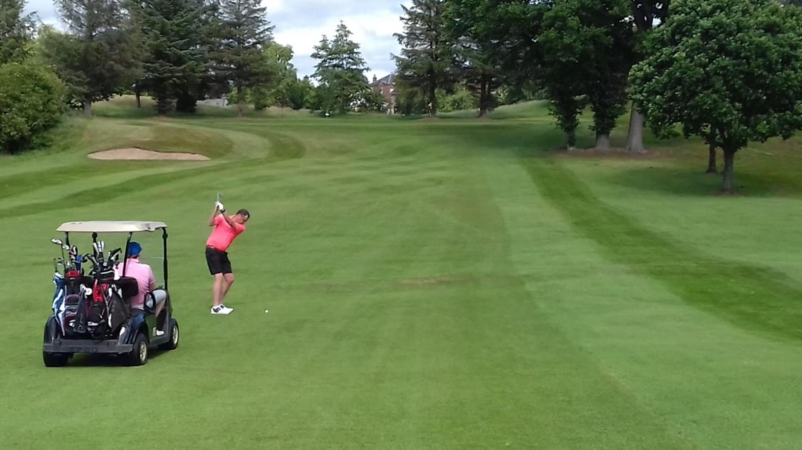 (Photo submitted by daza68 on 07/02/2019)