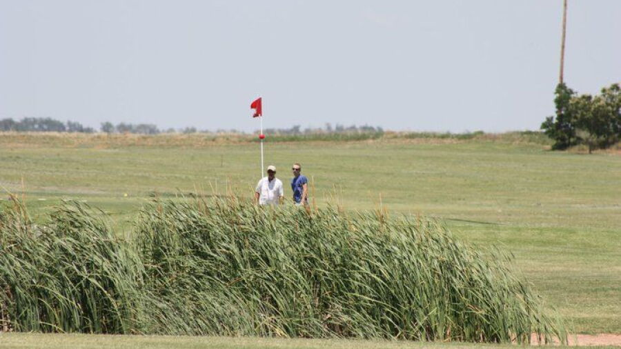 Hollis GCC