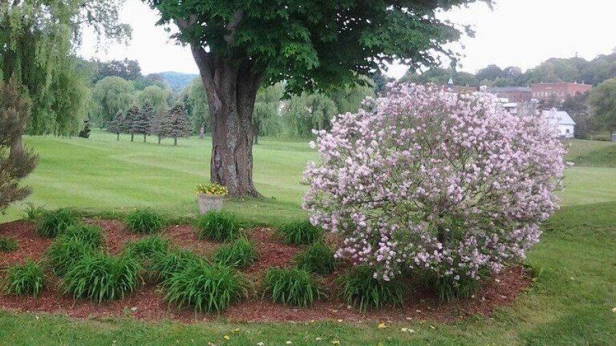 Bradford GC