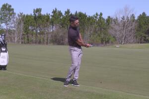 Two Different Chip Shots