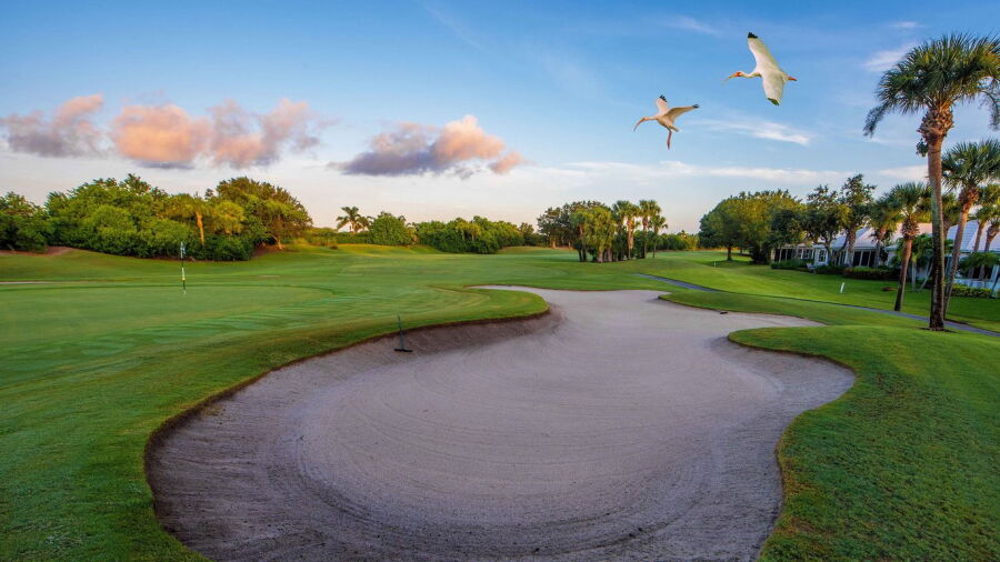 Oak Harbor CC