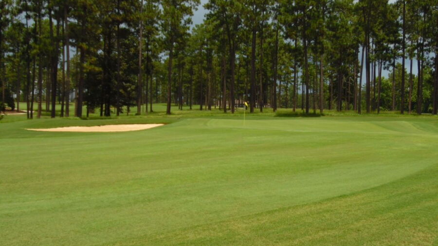 View from CC of Brewton