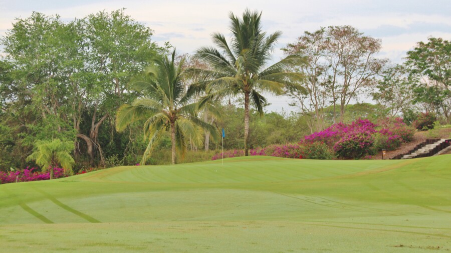 Flamingos Golf - hole 1