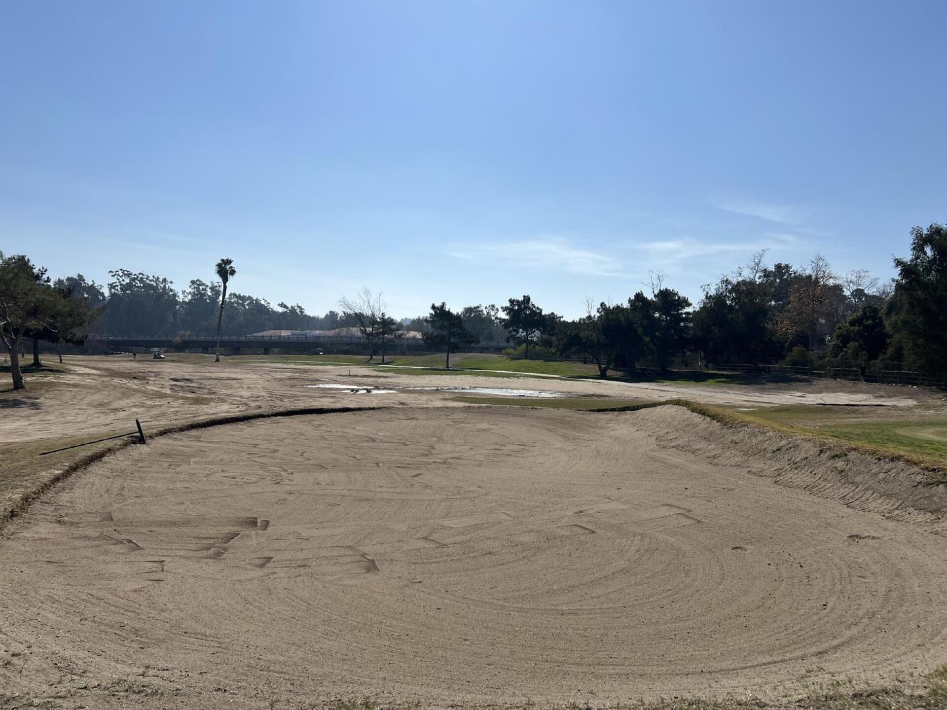 (Photo submitted by dpfeifer2000 on 02/01/2025)