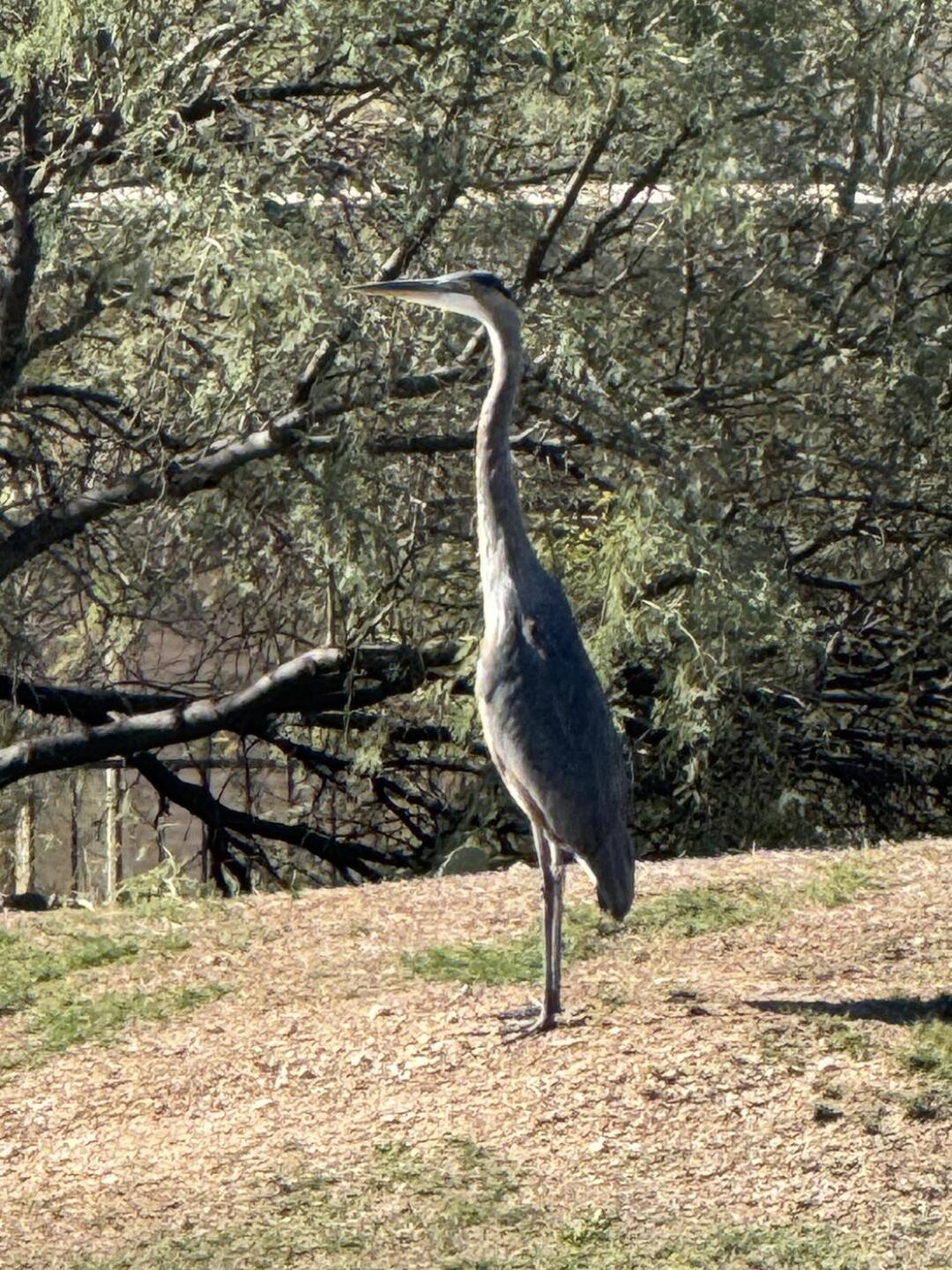 One of the crew! (Photo submitted by jcott on 11/13/2025)