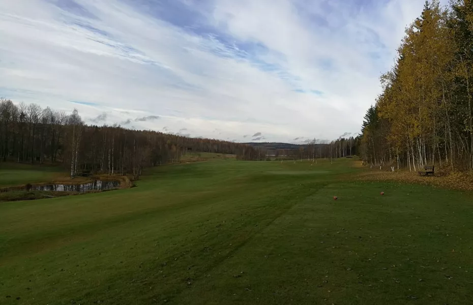 Hedemora GC