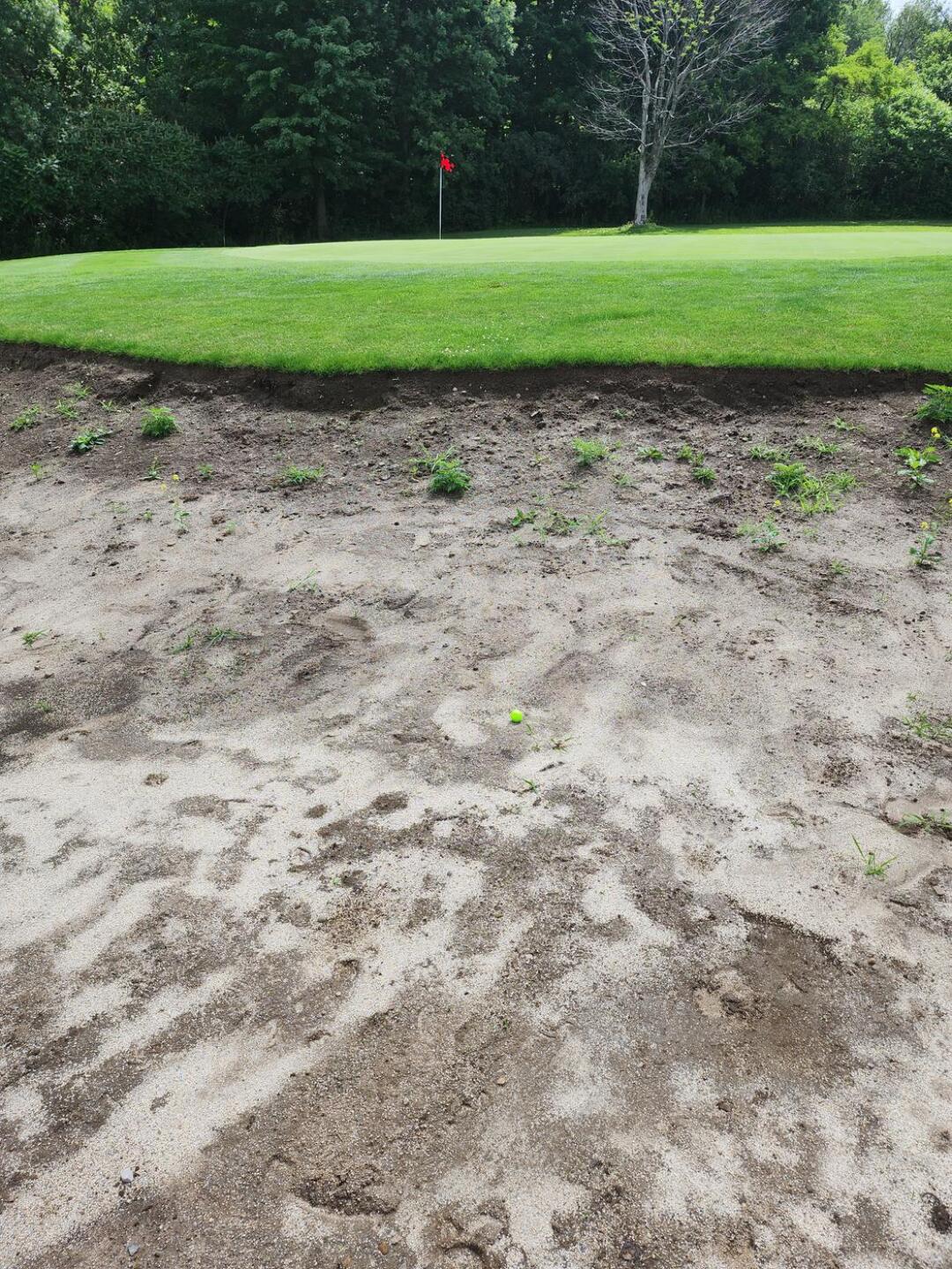 (Photo submitted by PapaAlV on 07/05/2023)