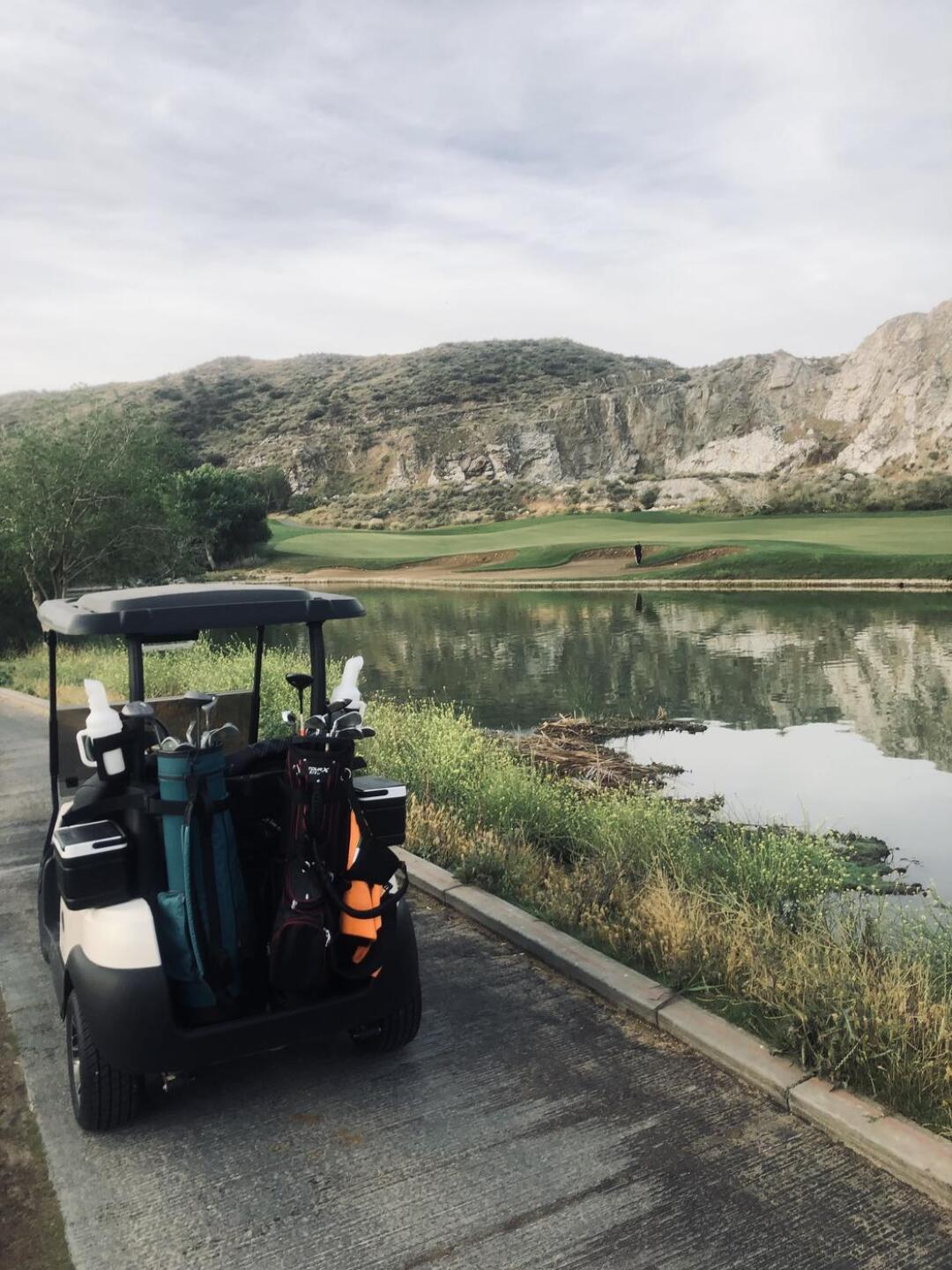 (Photo submitted by Gilbert6954610 on 05/01/2021)